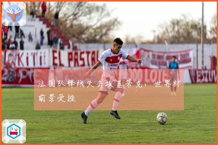 法国队锋线失去埃基蒂克，世界杯前景受挫