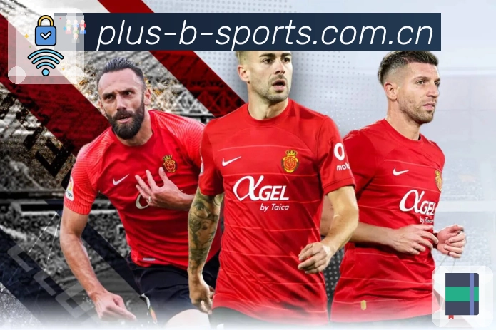 回放集锦与专题内容